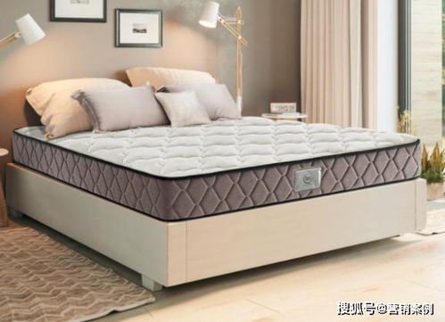 借力共赢 床垫厂如何巧用“借鸡生蛋”模式，通过合作门店销售棕床垫